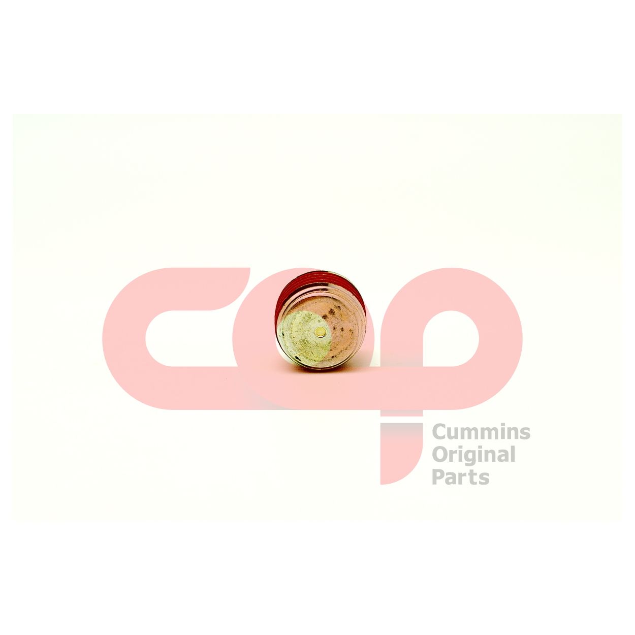 Заглушка с резьбой блока двигателя Cummins ISL9, QSL 3008468 3008468-20 С3008468 C3008468